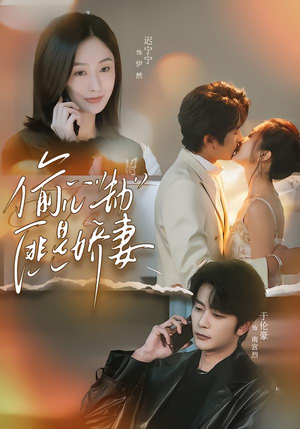 偷心劫匪是娇妻（61集）在线观看全集