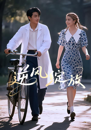 逆风绽放（55集）免费观看