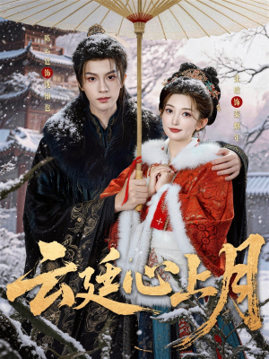 云廷心上月（80集）好看短剧分享