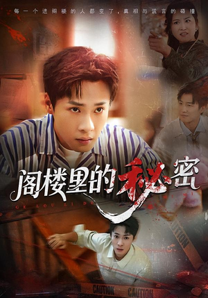 阁楼里的秘密（76集）热门爆款短剧