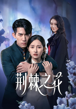 荆棘之花（100集）看过的人都说好