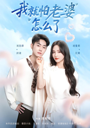 我就怕老婆怎么了（88集）热播短剧全集看