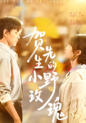 贺先生的小野玫瑰(99集) 贺先生的小野玫瑰(99集)在线看到大结局