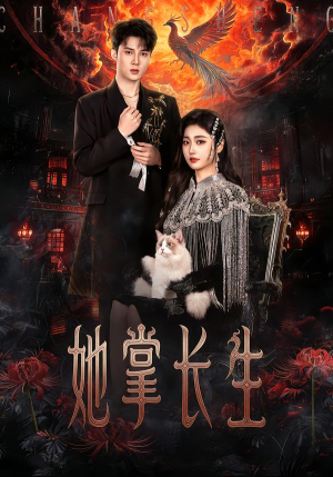 她掌长生(63集) 她掌长生(63集)在线免费观影