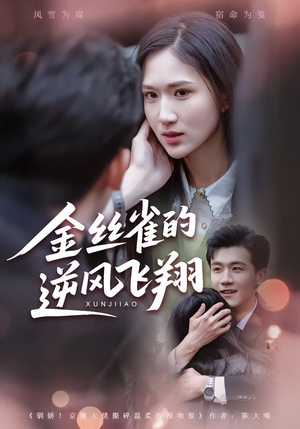 金丝雀的逆风飞翔（80集）视频在线看