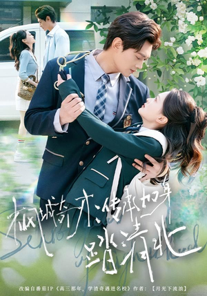 枫城奇才：传承加身踏清北（80集）短视频追剧推荐