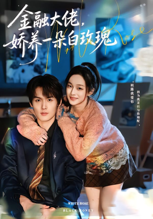 金融大佬，娇养一朵白玫瑰（70集）最后的大结局