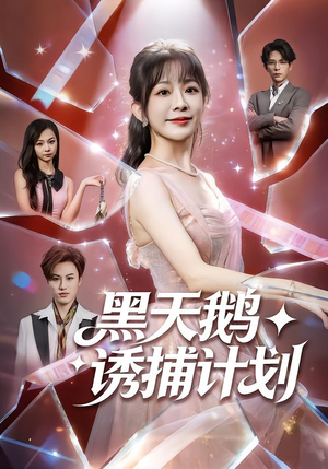 黑天鹅诱捕计划（81集）视频在线看