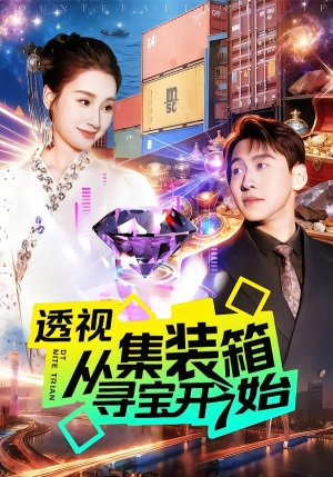 透视从集装箱寻宝开始（117集）在线免费观影