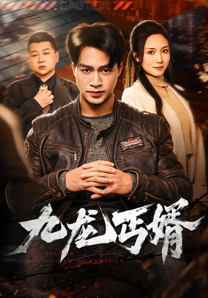 九龙丐婿(81集) 九龙丐婿(81集)每日短剧推荐