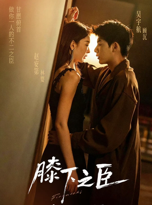 膝下之臣（56集）百度网盘资源