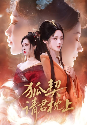 狐契：请君枕上（81集）在哪个app能看