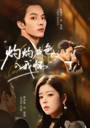 灼灼夜色入我怀（60集）熬夜追短剧