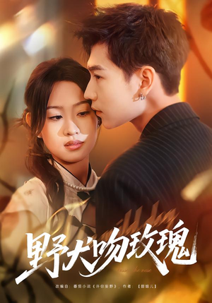 野犬吻玫瑰（70集）女主角是谁