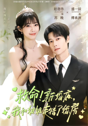 救命!新婚夜,我和姐姐走错了婚房(58集) 救命!新婚夜,我和姐姐走错了婚房(58集)免费短剧就是爽