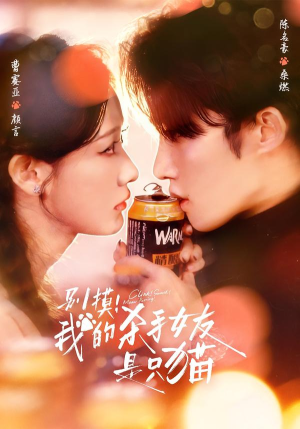 别摸！我的杀手女友是只猫（60集）精彩短剧看不停