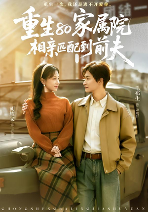 重生80家属院，相亲匹配到前夫（77集）好看的短剧推荐
