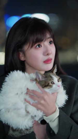 迟来春日（84集）短剧看全集