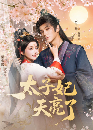 太子妃天亮了(80集) 太子妃天亮了(80集)火爆短剧抢先看