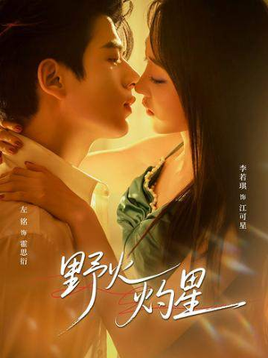 野火灼星（56集）一口气追完全集