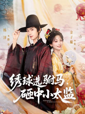 绣球选驸马，砸中小太监（81集）精彩短剧免费看