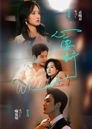 心要野(62集) 心要野(62集)每天短剧分享