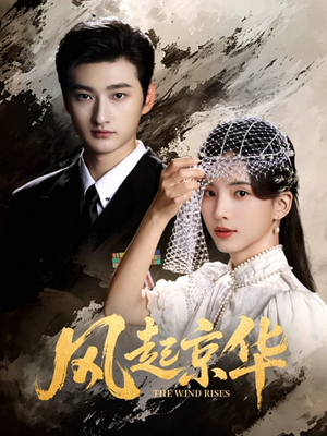 风Q京华（60集）免费看全集
