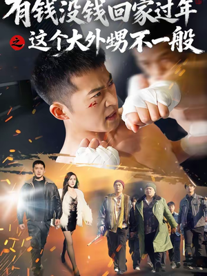 有钱没钱回家过年之这个大外甥不一般（81集）全集免费观看
