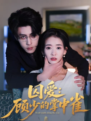 囚爱：顾少的掌中雀（70集）短剧太上头了