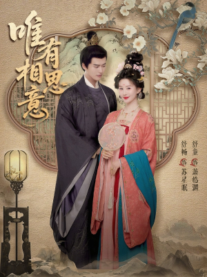 唯有相思意（100集）短剧抢先看全集