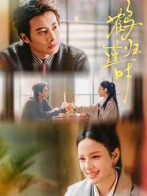 鹤归瑾时（81集）免费在线看