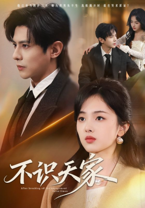 不识天家（69集）免费短剧完整版