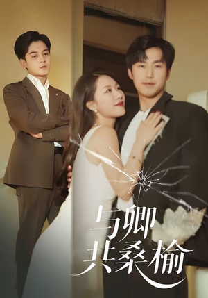 与卿共桑榆（63集）精彩短剧片段