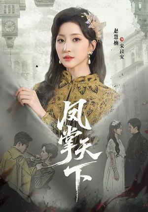 凤掌天下（64集）百度网盘资源