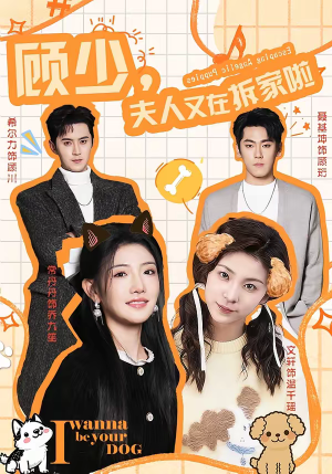 顾少，夫人又在拆家啦（78集）精彩短剧片段