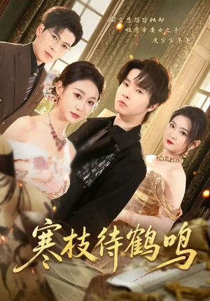 寒枝待鹤鸣（70集）推荐热门短剧