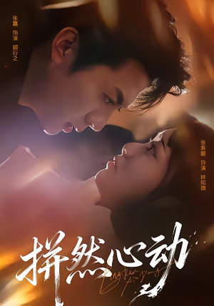 拼然心动（56集）全剧免费观看