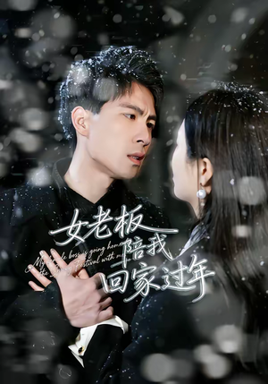 女老板陪我回家过年（40集）每天分享短剧