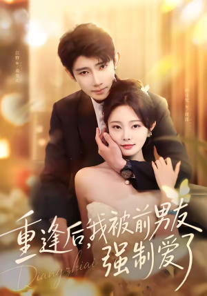 重逢后，我被前男友强制爱了（80集）演的怎么样
