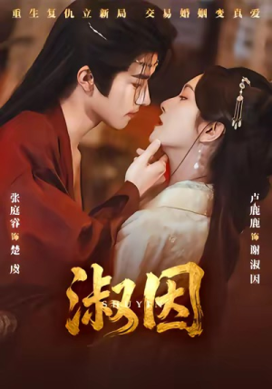 淑因（65集）热播短剧分享