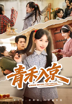 青禾入京（60集）免费看短剧