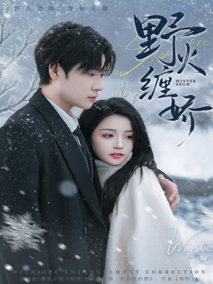 野火缠娇（66集）超好看短剧推荐