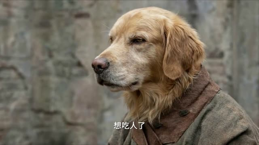 教书五年，我教出满门妖神（66集）原创精彩短剧