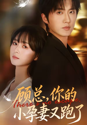 顾总，你的小孕妻又跑了（47集）百度网盘资源