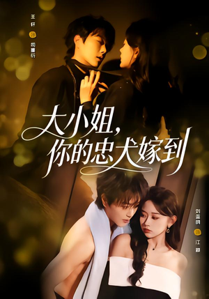 大小姐，你的忠犬嫁到（80集）免费短剧看全集