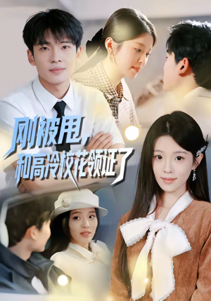 刚被甩，和高冷校花领证了（67集）UC网盘在线看