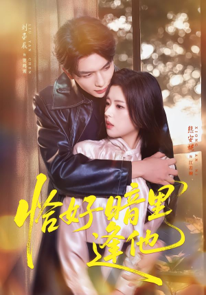 恰好暗里逢他（66集）短剧热播抢先看