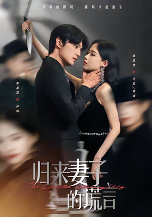 归来妻子的谎言（49集）经典老剧免费看