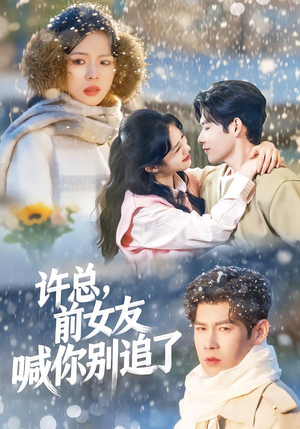 许总，前女友喊你别追了（80集）短剧热门推荐