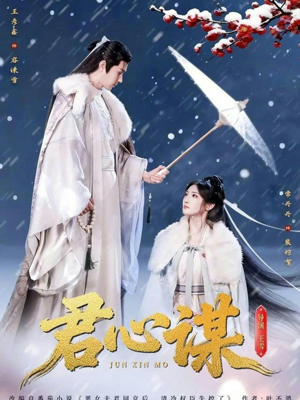 君心谋（80集）最新火爆短剧